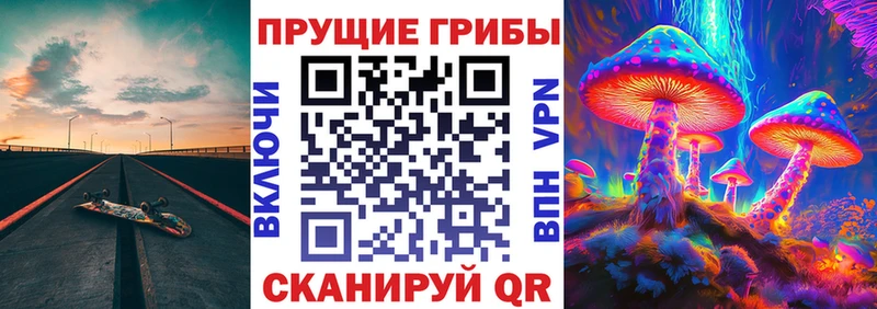 Псилоцибиновые грибы Cubensis кракен зеркало Магас